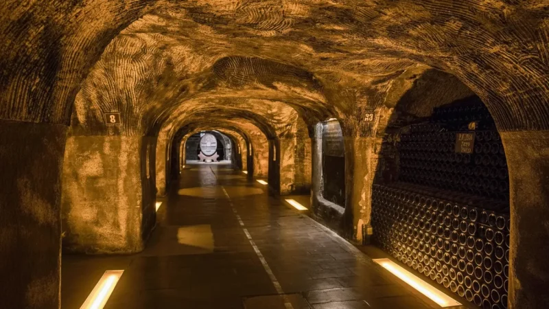 Epernay Champagne Houses(1)