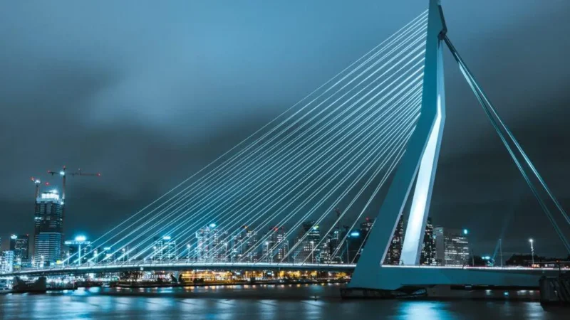 Erasmus_Bridge_(Erasmusbrug)_06