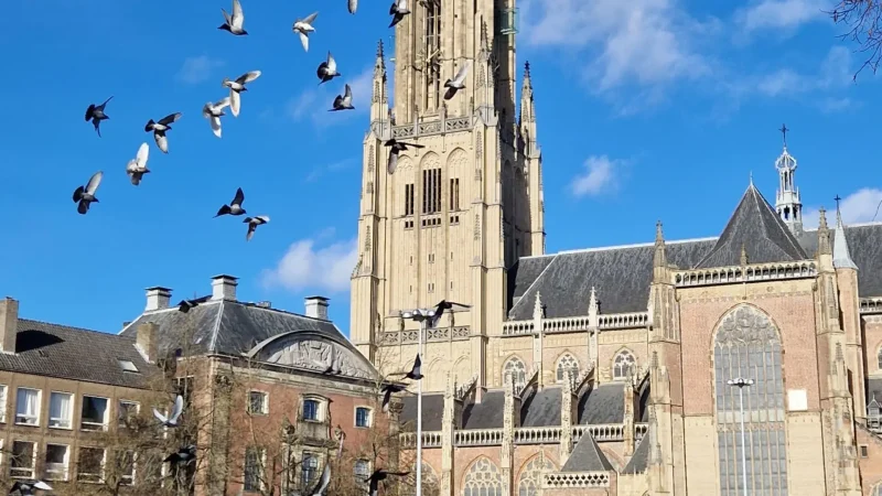 Eusebius_Church_03