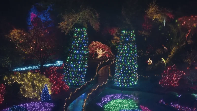 Evening Light Displays(4)
