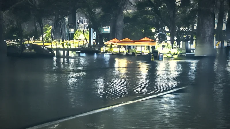 Evening Riverside Walks(1)