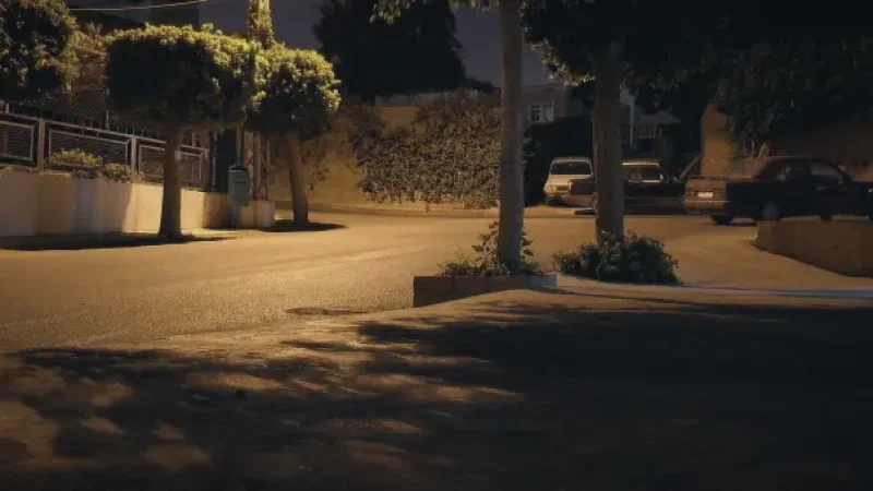 Evening Town Walks(3)