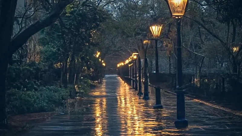 Evening Walk Paths – Calm surroundings(1)