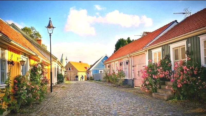 Falkenberg City Center – Cafés, shops, and local life(3)