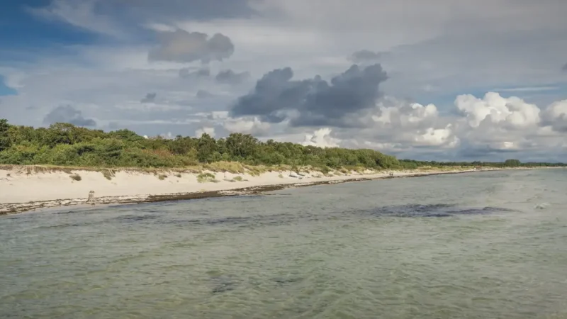Falster Coastline – Long Beach Walks(6)