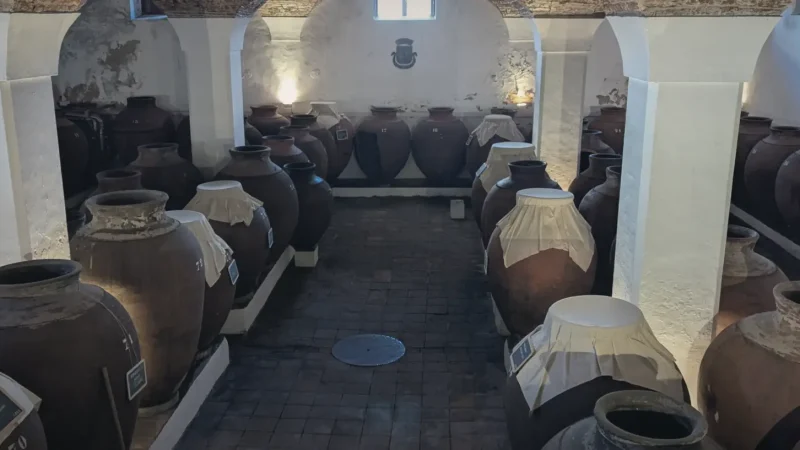 Family-Owned Wineries – Small-scale wine producers(1)