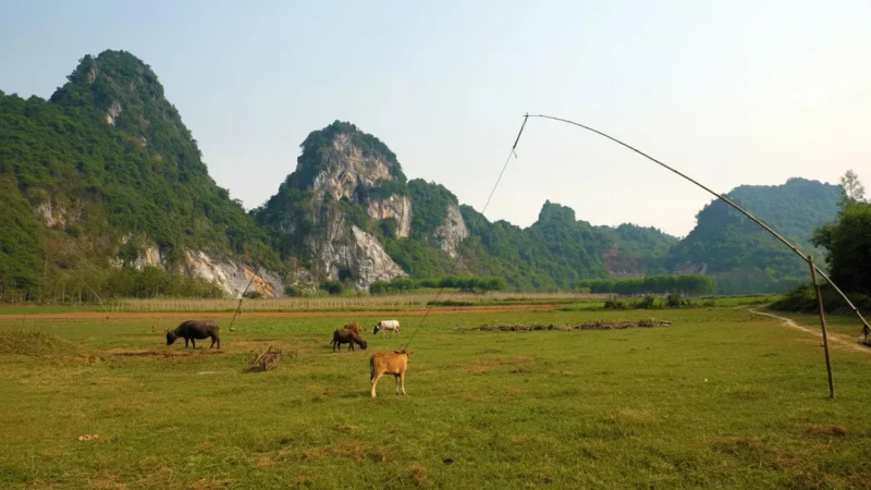 Farm Areas – Simple agricultural life(4)