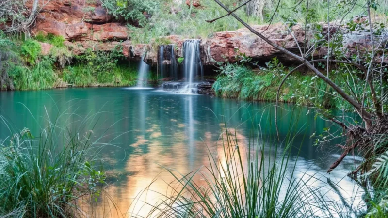 Fern Pool – Karijini National Park(2)