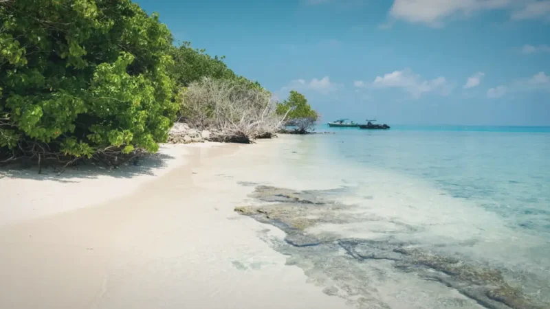Fihalholi Main Beach – Soft white-sand beach ideal for swimming(2)