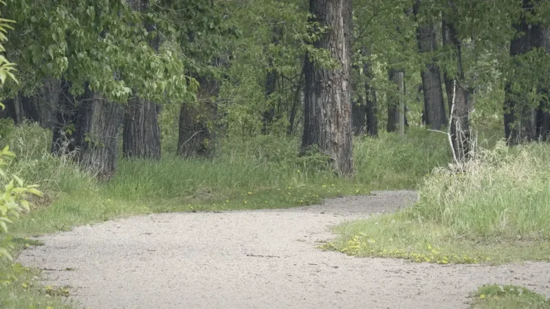 Fish Creek Provincial Park(3)