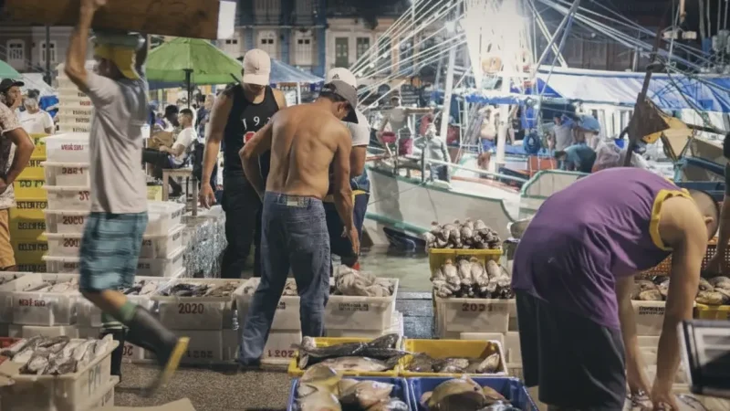 Fish Market Area – Fresh Amazon fish(1)