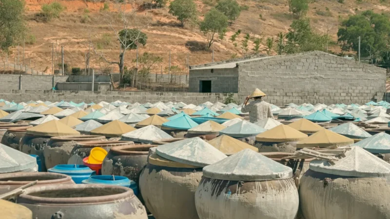 Fish Sauce Factories(3)