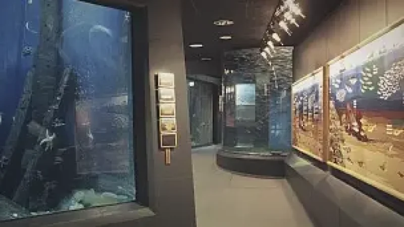 Fisheries and Maritime Museum – Sea life and history(6)