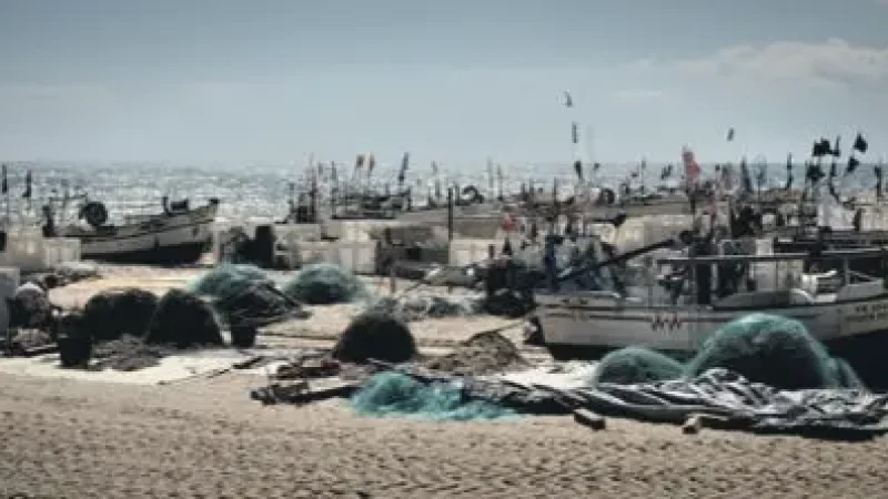 Fishing Areas – Traditional coastal life scenes(1)