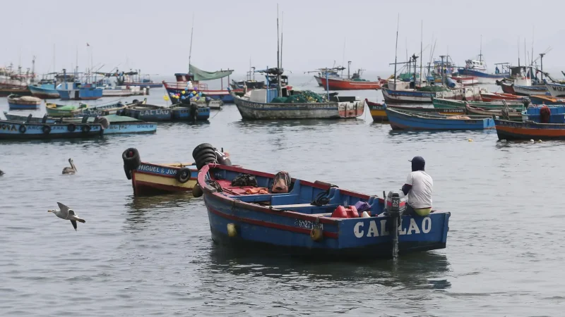 Fishing_Harbor_–_View_daily_port_activity__04