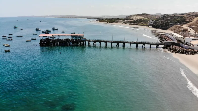 Fishing_Pier_–_Daily_fishing_activity_views__02