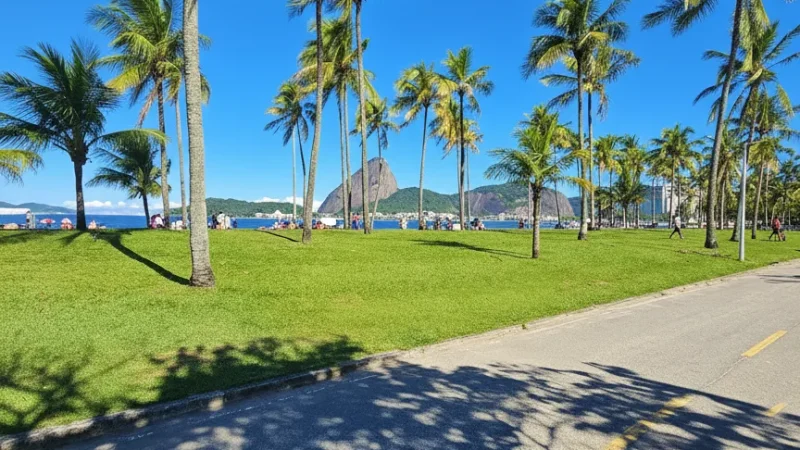 Flamengo Park(5)