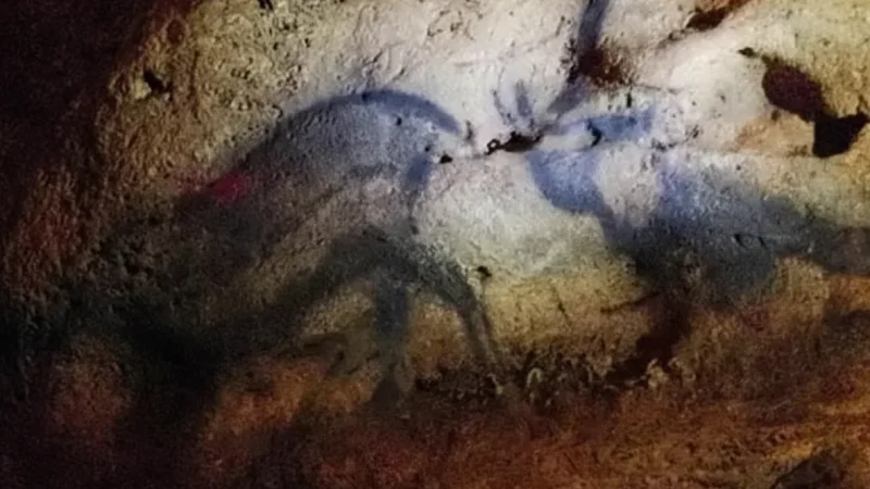 Font-de-Gaume Cave – Original polychrome cave art(2)