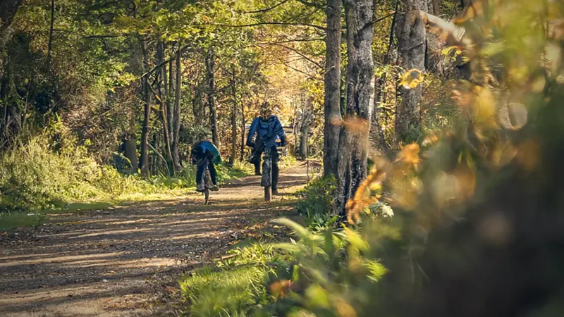 Forest Cycling Routes(4)