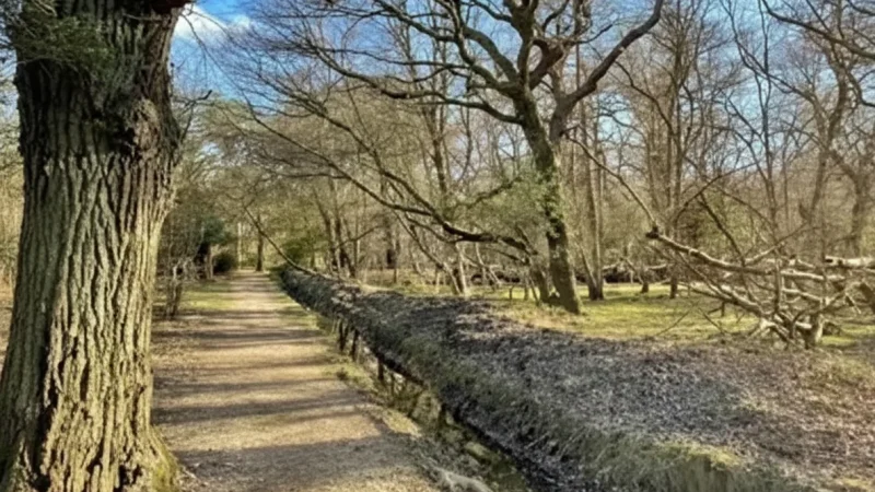 Forest Edge Trails(5)