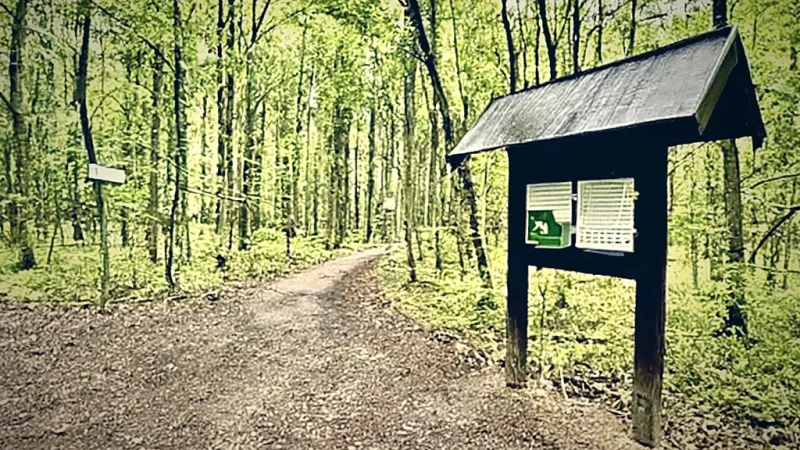 Forest Educational Trails(3)