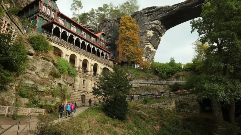 Forest Hiking Trails – Marked Nature Paths(6)