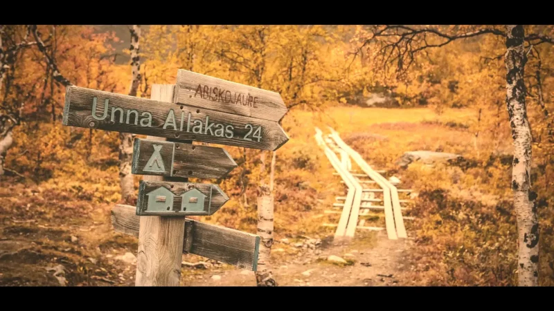 Forest Nature Trails(3)