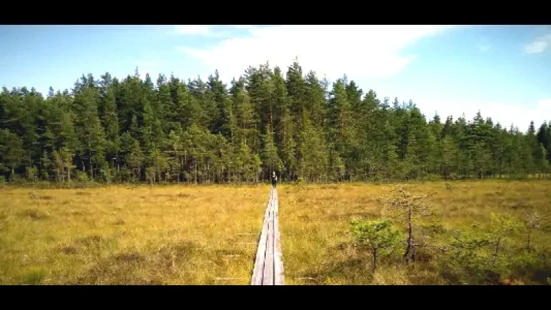 Forest Nature Trails(5)