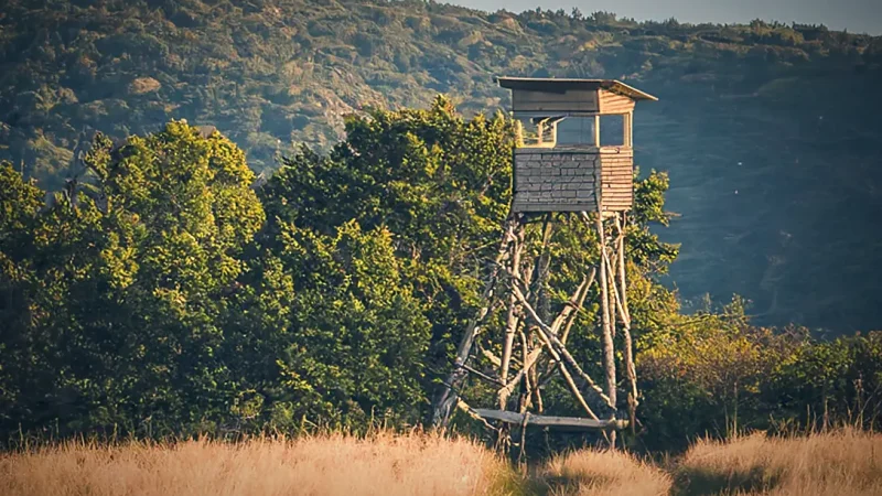 Forest Observation Points(1)