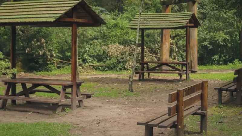 Forest Picnic Areas(4)