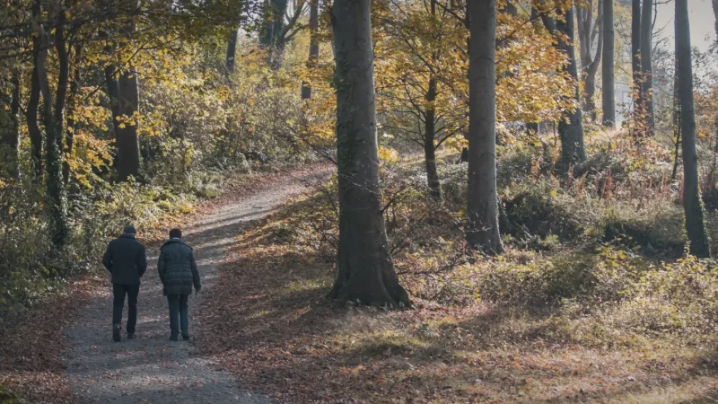 Forest Walking Trails – Nature paths(3)