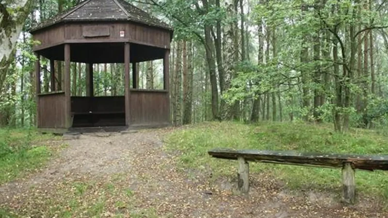 Forest_Clearings_05