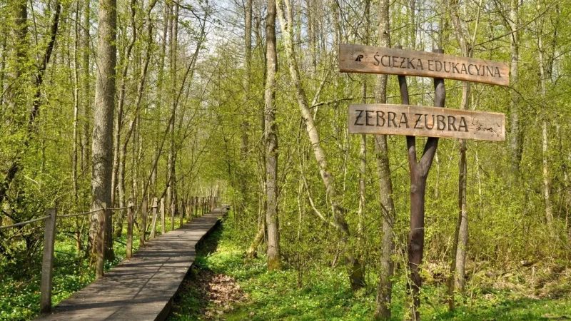Forest_Educational_Trails_01