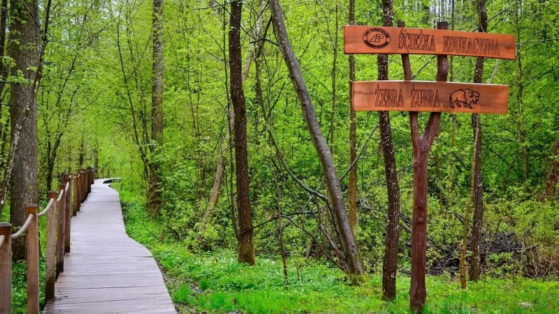 Forest_Educational_Trails_02