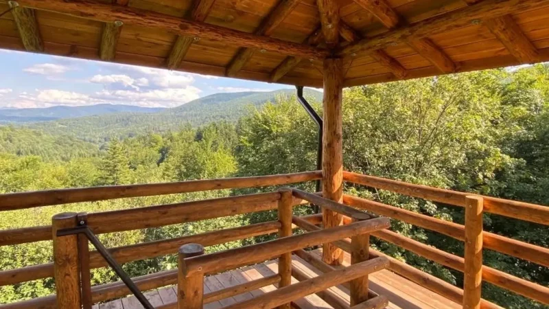 Forest_Observation_Points_06