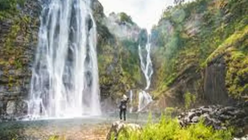 Forest_Walk_Trails_тАУ_Short_nature_walks_04