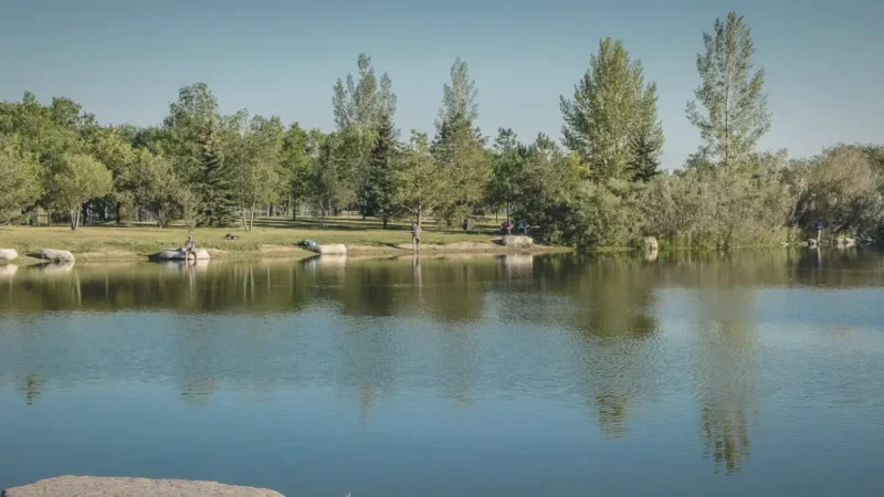 Forestry Farm Park – Gardens & zoo(3)