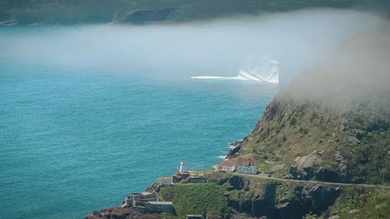 Fort Amherst – Coastal viewpoints(4)