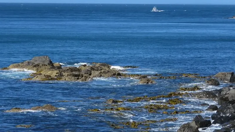 Foveaux_Strait_Lookouts_тАУ_Open_ocean_scenery_02