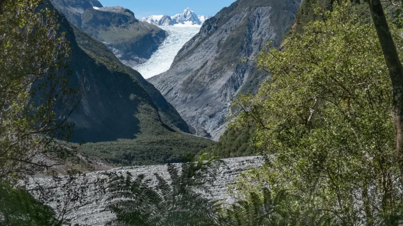 Fox_Glacier_Valley_Walk_тАУ_Glacier_viewpoints_05