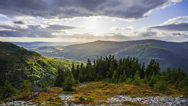 Fresh Mountain Air Areas – Relaxation zones(5)