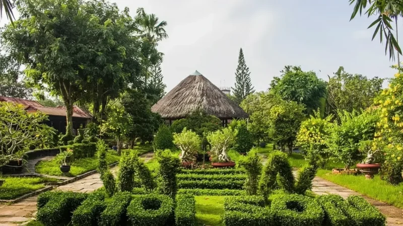 Fruit Gardens – Seasonal tropical fruit(5)