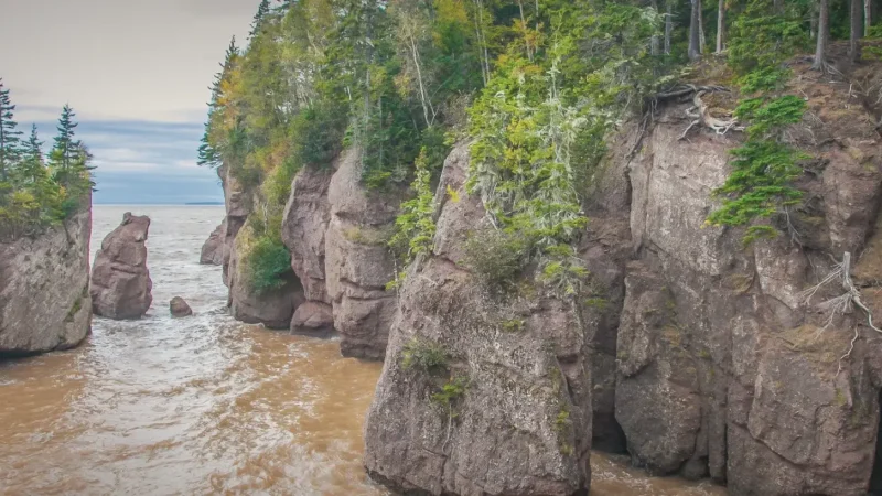 Fundy National Park – Coastal trails and waterfalls(4)