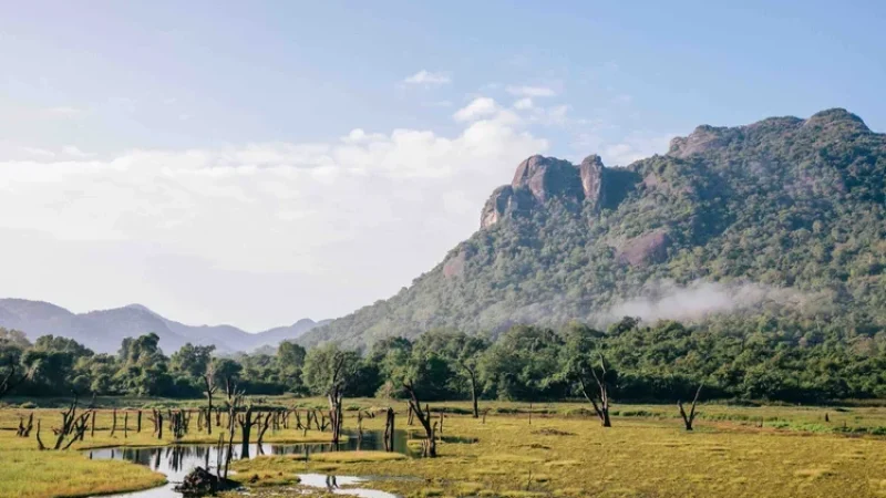 Gal Oya National Park3