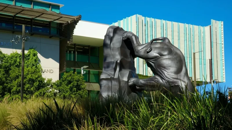 Gallery of Modern Art – Contemporary art exhibitions(1)