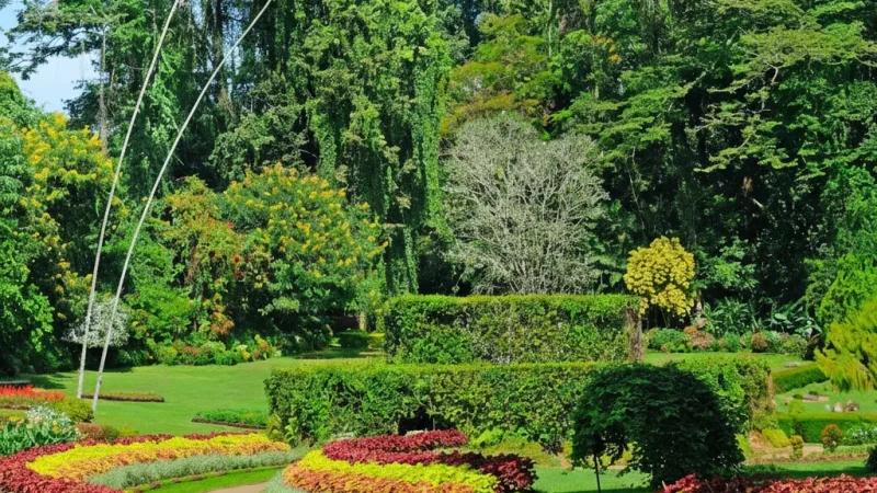 Garden Landscapes – Seasonal flower areas(6)