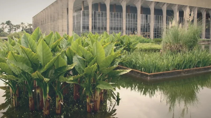 Gardens of Itamaraty – Landscape design(1)