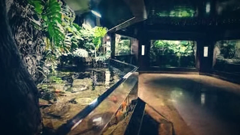 Gdynia Aquarium(3)