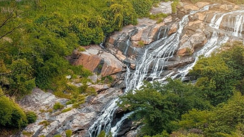 Gemini_Generated_Image_8k3ne48k3ne48k3n