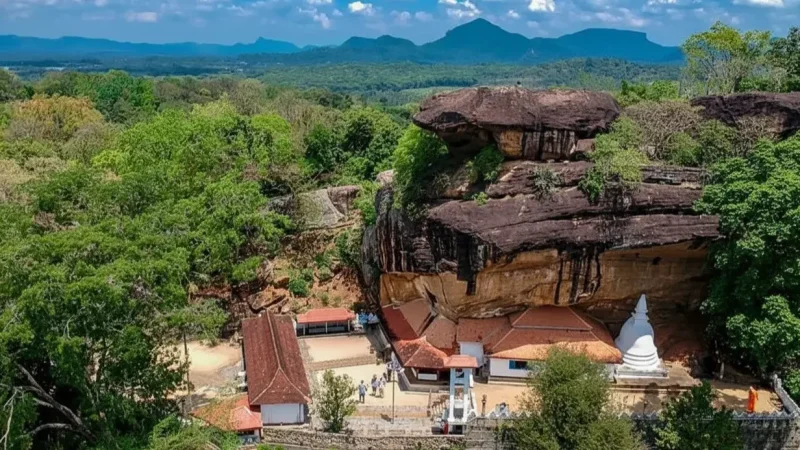 Generated Image October 19, 2025 - 11_33PM (2)